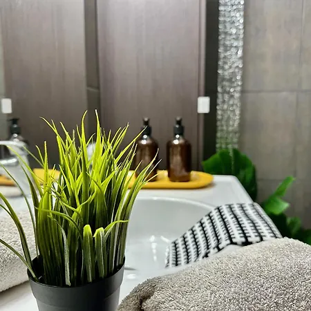 Vilă Four Seasons - The Eco Friendly