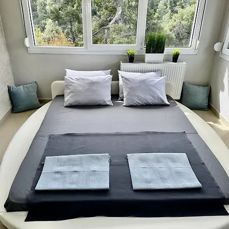 Four Seasons - The Eco Friendly Vilă *