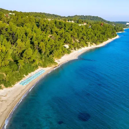 Four Seasons - The Eco Friendly *