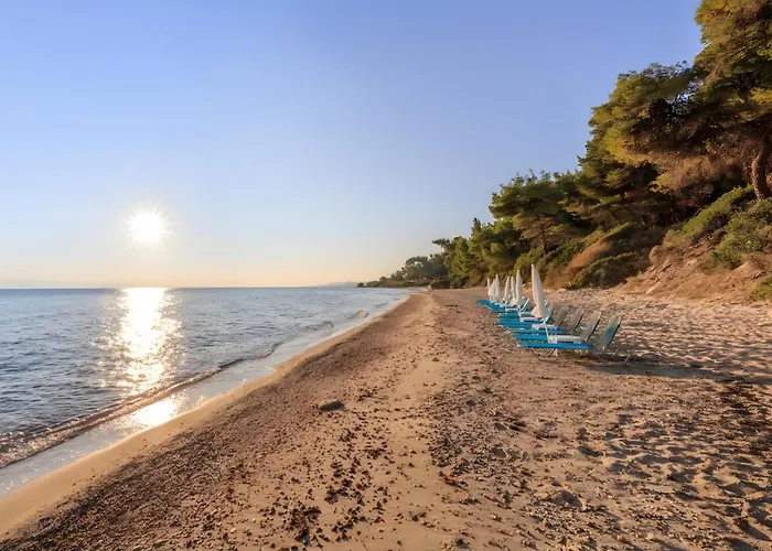 Four Seasons - The Eco Friendly Villa