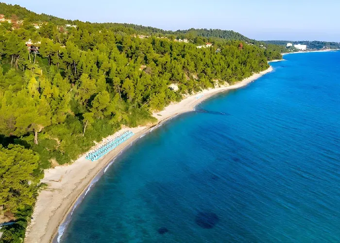 Four Seasons - The Eco Friendly *